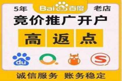 SEM竞价开户技巧：从案例中学习